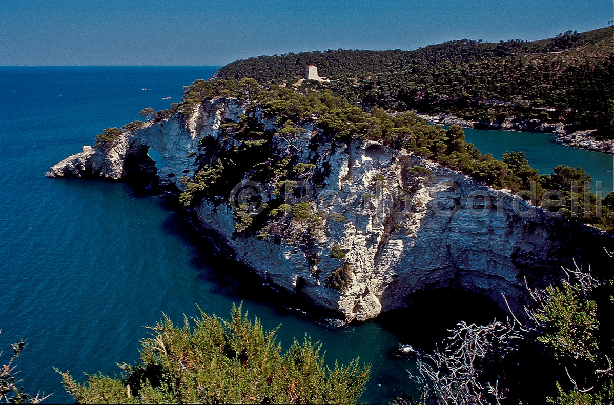 Gargano National Park, Puglia, Italy
 (cod:Puglia 23)